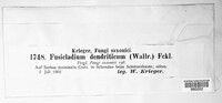 Image Associated With the Occurence